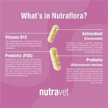 whats in Nutraflora?