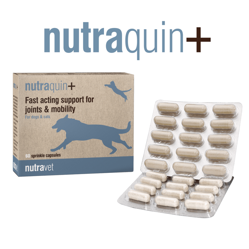 Nutraquin + Capsules