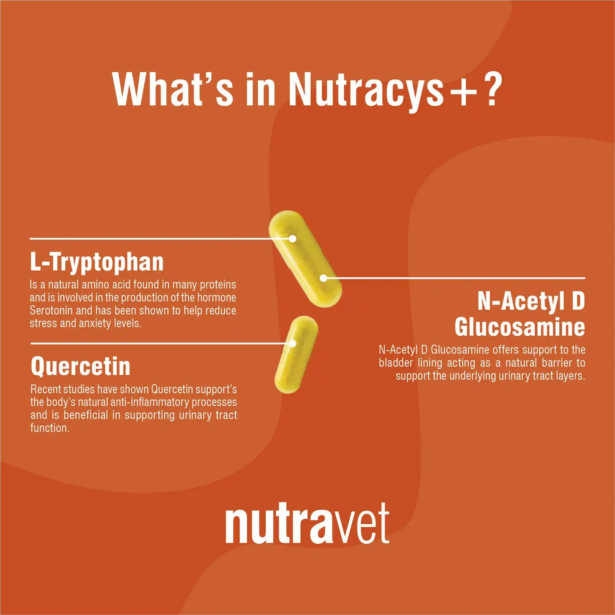 Whats in Nutracys