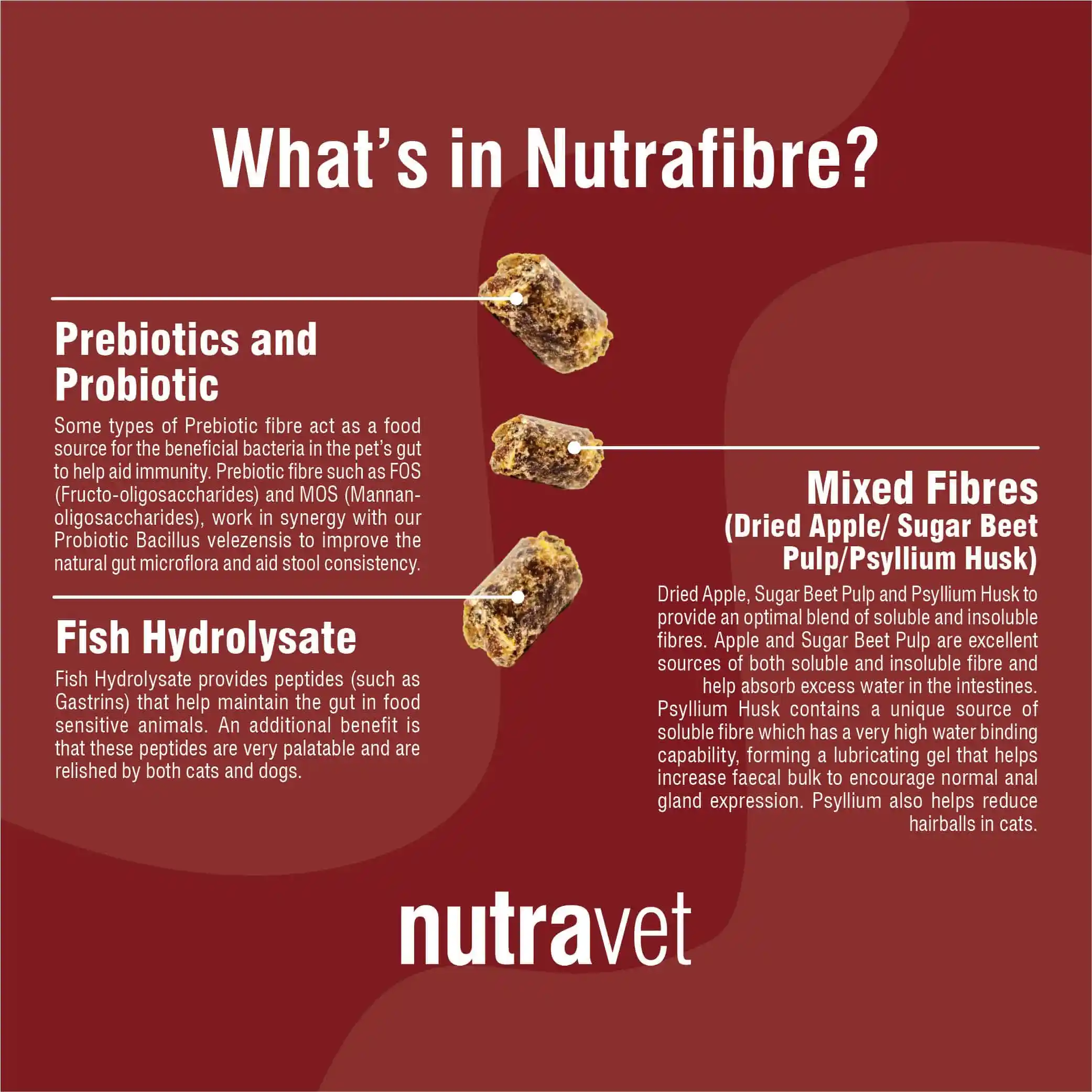 Nutrafibre more information whats in it?