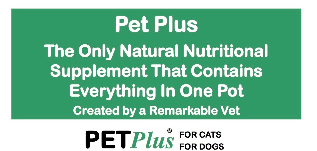 Pet Plus for Dogs and Cats