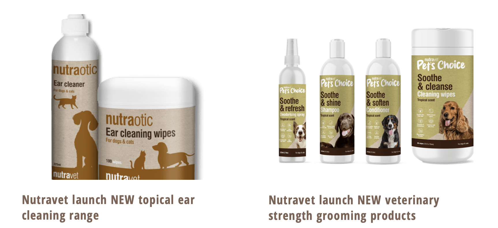 Nutrotic and pet Ready