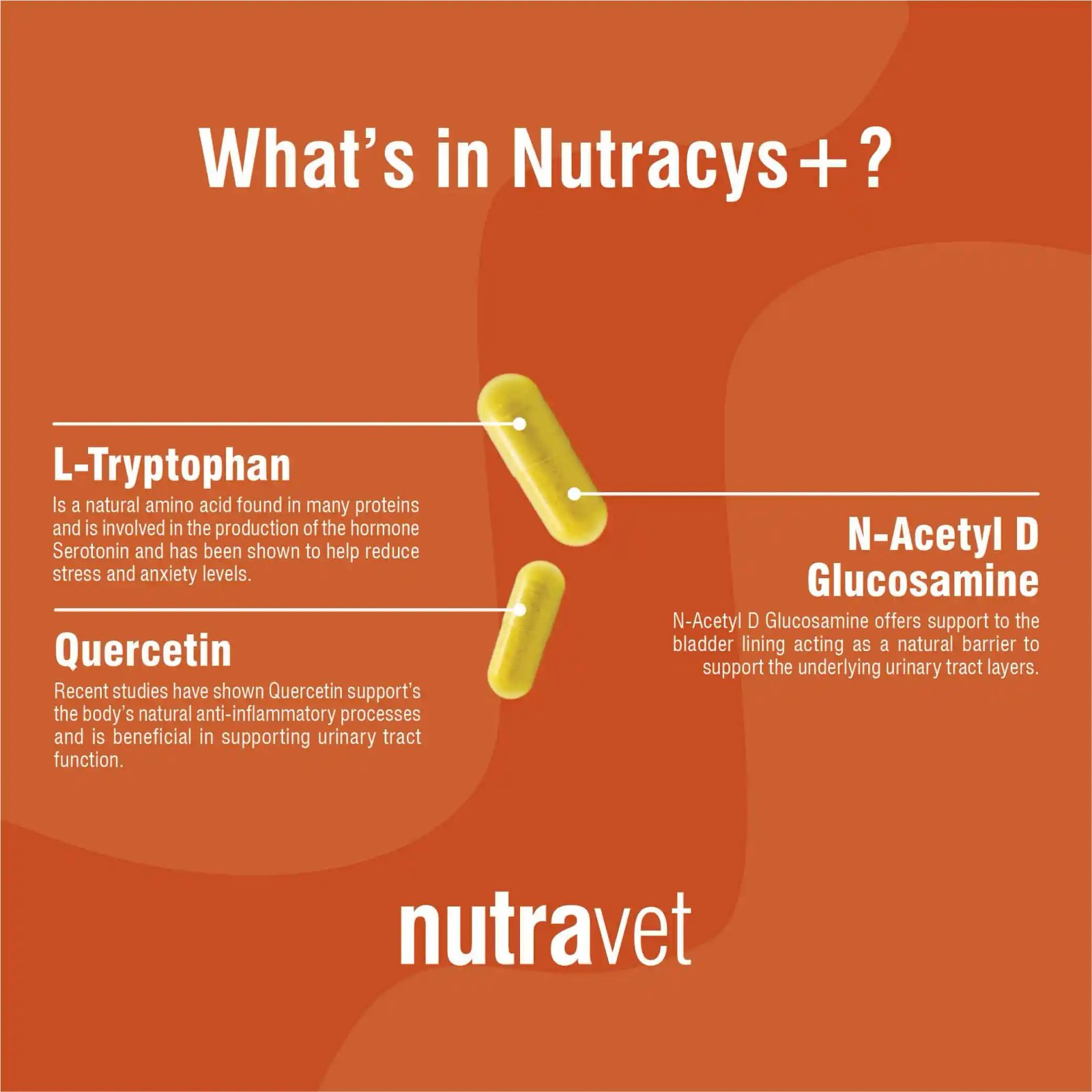 Whats in Nutracys