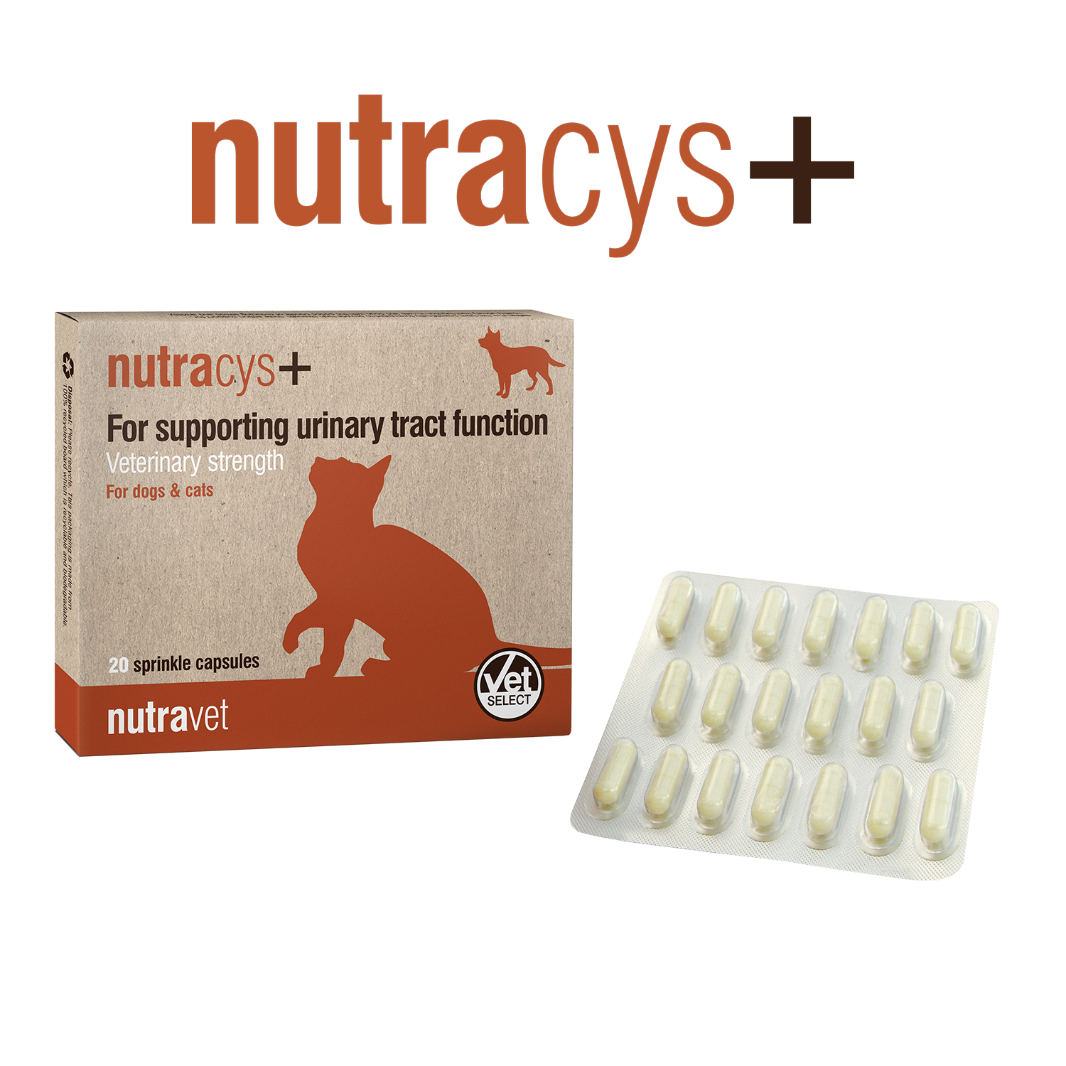 Nutracys+