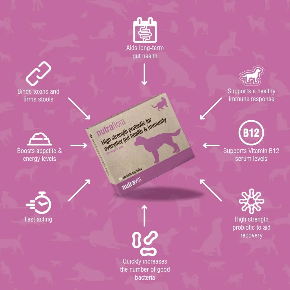 Nutraflora capsules