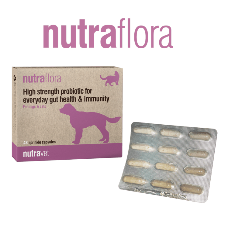 nutraflora probiotic capsules