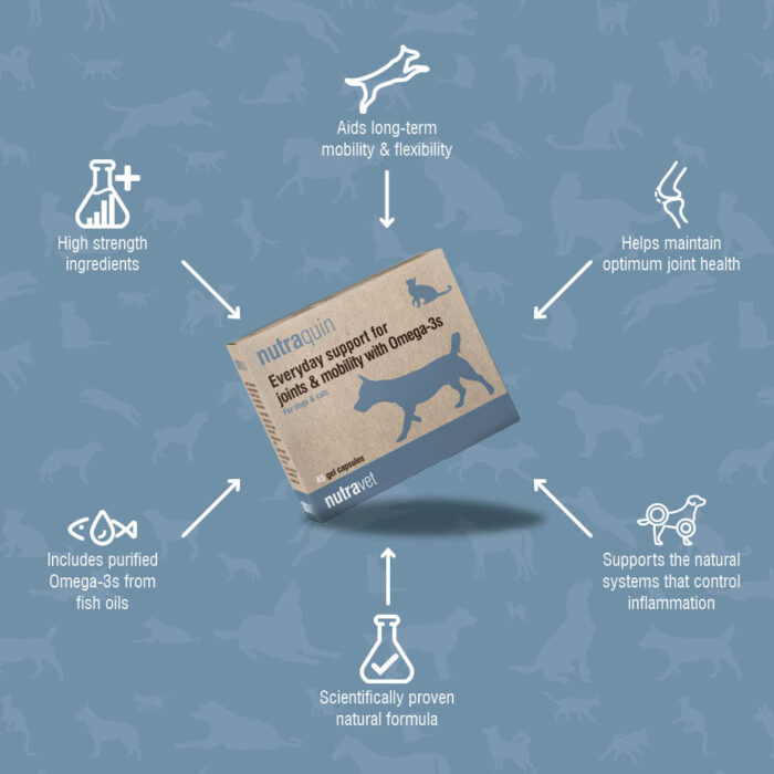 Nutraquin whats ity all about