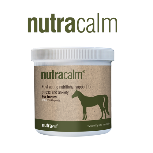 nutracalm equine Calms stressed horses