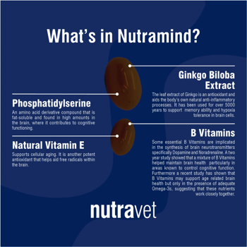 whats in Nutramind?