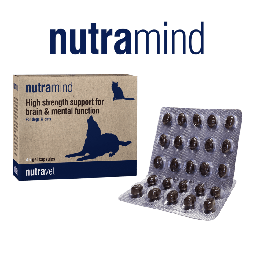 Nutramind capsules