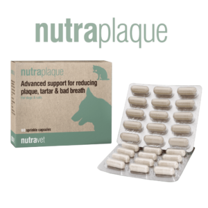 Nutraplaque capsukles